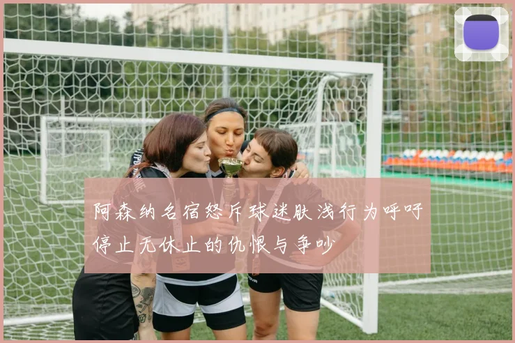 阿森纳名宿怒斥球迷肤浅行为呼吁停止无休止的仇恨与争吵