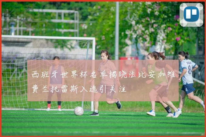 西班牙世界杯名单揭晓法比安加维费兰托雷斯入选引关注